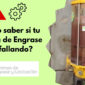 Portada Publicacion verano